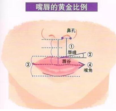 打丰唇针多少钱一针？价格费用、具体操作步骤分析！