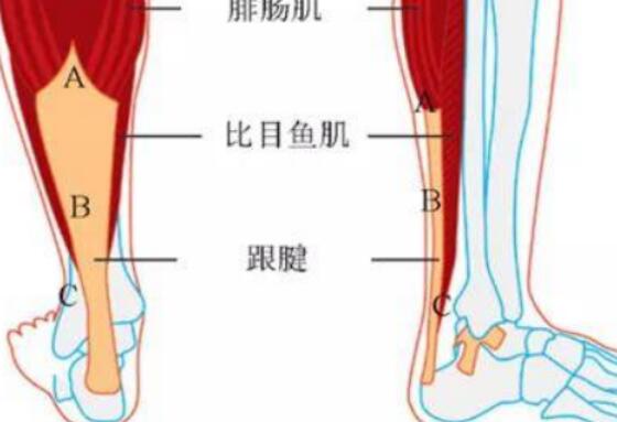 ，到底是什么！