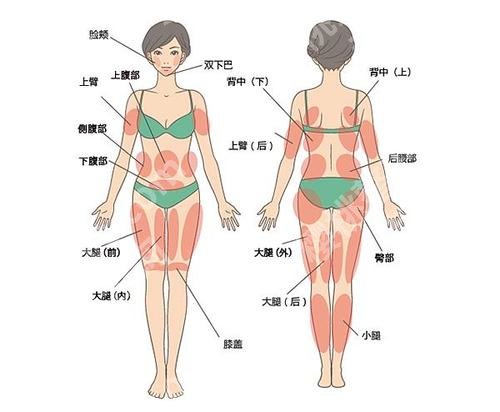 北京清木医疗美容腰部吸脂多少钱？2023价格收费标准公布！