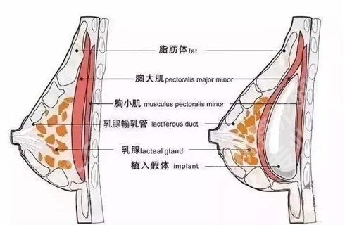 南昌大学二附院整形外科怎么样？主打项目公布，收费在线参考