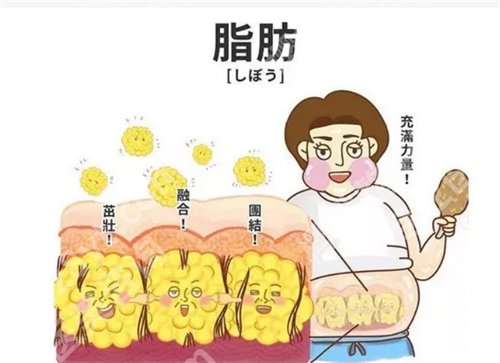 金华维多利亚吸脂做得咋样啊？张树功医生在院坐诊，点击了解