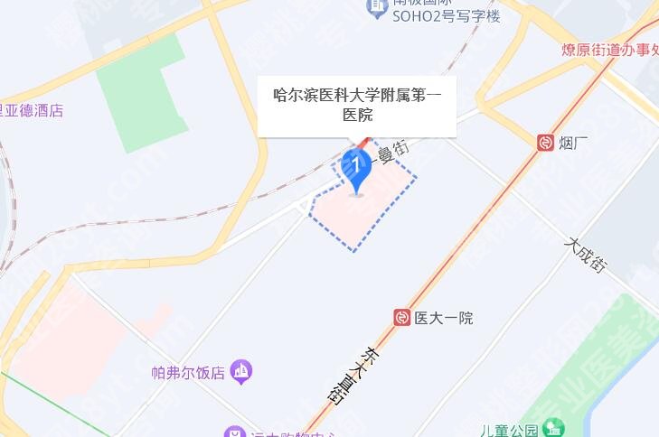 哈尔滨医大一院缩胸挂什么科？医院简介及详细地址介绍！