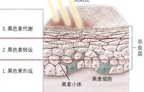 浙江省立同德医院牙科怎么样？热门项目介绍