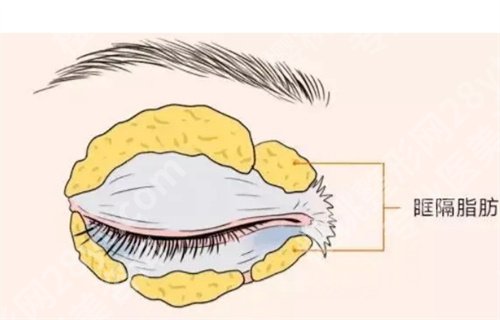 常州一院谁做眼袋手术好？一览人气医生名单