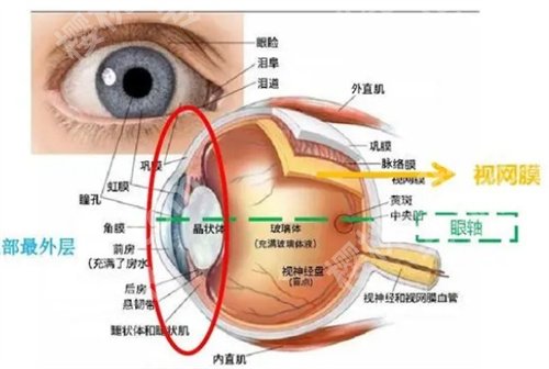 南京第二人民医院眼科专家都有谁看的好？主打项目来袭