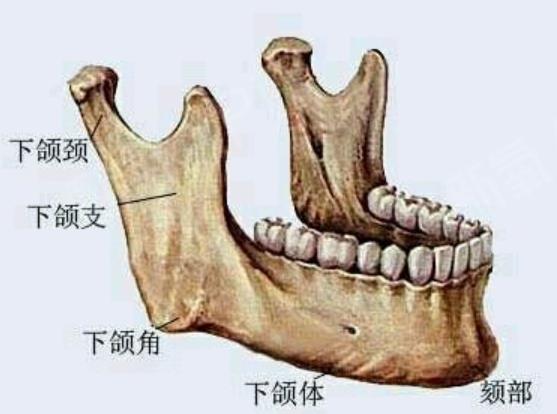 女性尖下颌角整形的原理是什么？做手术前后需要注意什么？