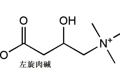 哪个牌子的左旋肉碱好？来这里看看左旋肉碱的相关资讯！