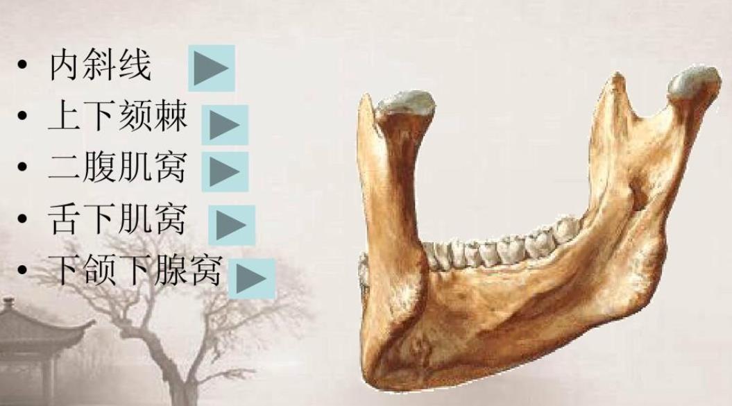 下颌骨整形价钱贵吗？做下颌角整形手术需要注意哪些事情？