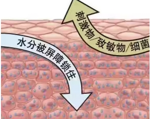 晒黑了怎么快速变白？新手入门指南~都是平价常青树！