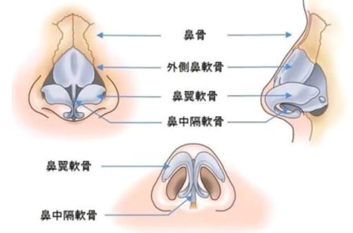 重庆西南医院毋巨龙医生怎么样？隆鼻修复案例曝光！有价格表参考