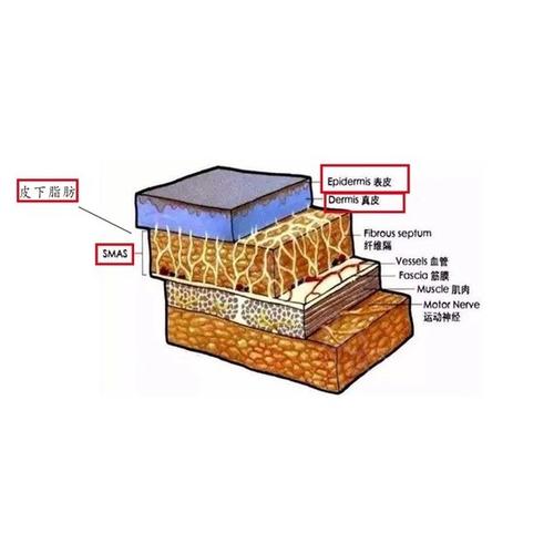 广州联合丽格做欧洲之星fotona4d怎么样？技术实力在线一览！