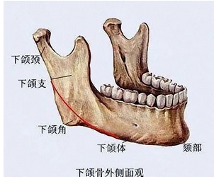 下颌角长曲线截骨术价格如何？果好不好？让你遇到自己的魅力！