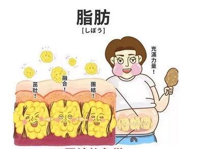 北京安贞医院王海波怎么样？怎样了解吸脂减肥，照着本文这样做可以减轻危害！