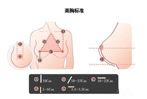 吴小蔚技术好还是王海平技术好？专家对比实力，看案例反馈！