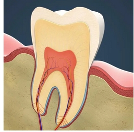 牙神经痛怎么办？牙痛有什么症状呢？告诉你解决牙齿神经痛方法！