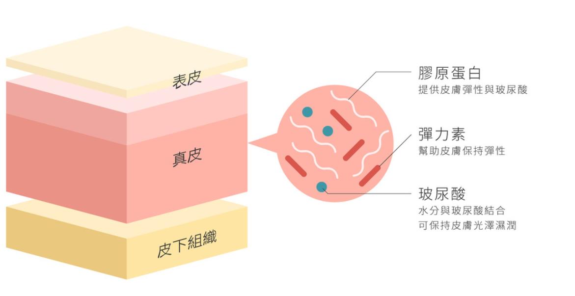 注射胶原蛋白有副作用吗？结块、血肿等比较常见！