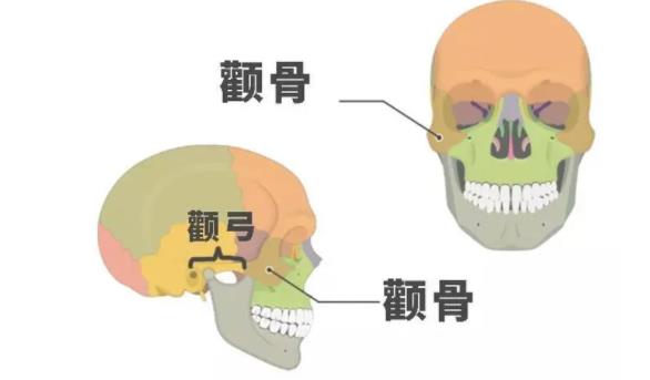 何晋龙医生口碑好不好？擅长的领域是什么？颧骨手术效果图曝光