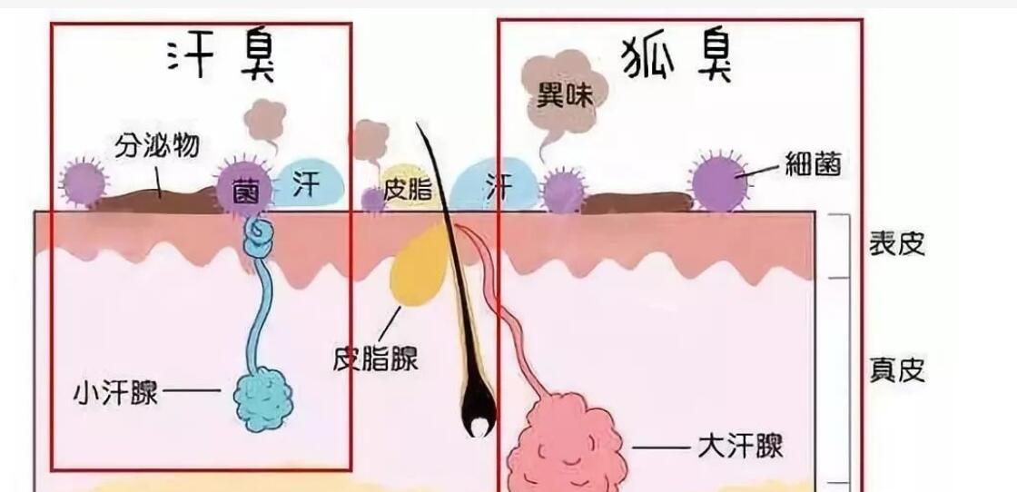 陈洪剑做腋臭价格明细更新了，陈洪剑技术、个人资料公开！