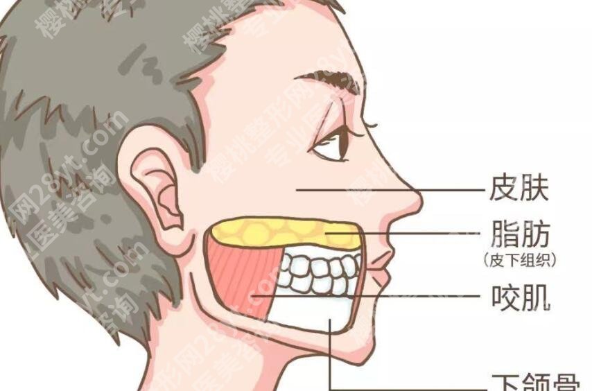 男生瘦脸小技巧有哪些？注射瘦脸、抽脂、磨骨等技术都不错！