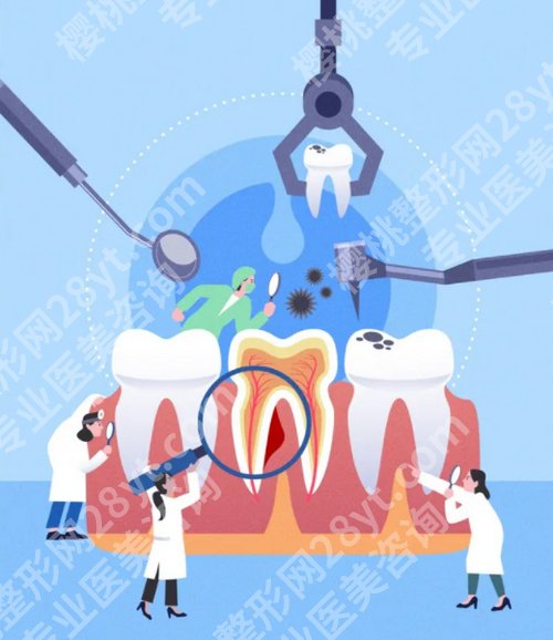 烤瓷牙和全瓷牙哪个贵？修复效果、持久性和耐用性等都需要考虑到！