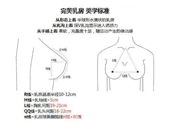 上海美莱医疗美容门诊部徐宇红医生简介_假体隆胸案例图