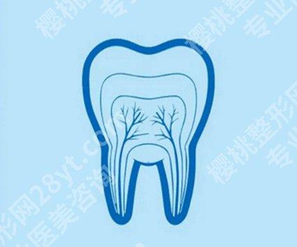 全瓷牙与烤瓷牙哪种好？了解一下全瓷牙和烤瓷牙的优点和缺点有哪些吧！