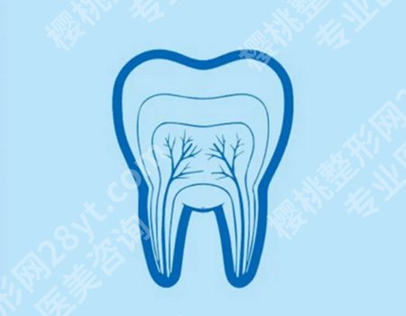 种牙加骨粉需要多少钱？综合考虑费用、技术和设备等因素决定价格！