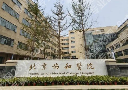 北京整形耳朵医院哪个好？汇总5家正规医院榜单！