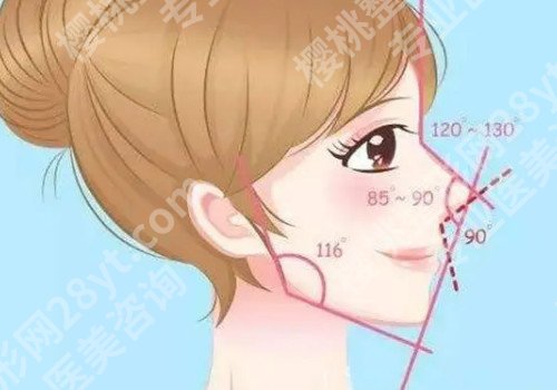绍兴肋骨鼻子大概多少钱？有没有排异现象？