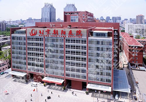 北京朝阳医院隆鼻多少钱？价格14500元到45800元左右起步！附案例