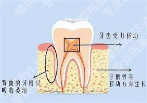 北京孙波口腔诊所地址？医院信息介绍，项目推荐