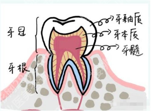 北京诚之康口腔医院地址？医院简介