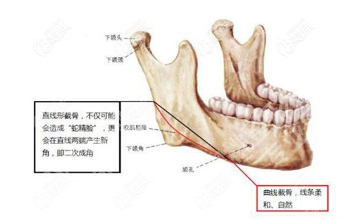 北京圣嘉新张笑天简介来袭！看技术亮点介绍