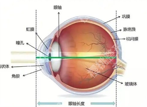 广州军区总医院近视激光怎么样？医院简介，项目推荐