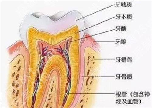 深圳第二人民医院种植牙怎么样？医院详情信息介绍，一文了解