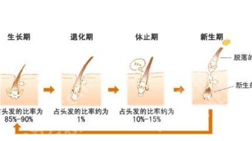 上海九院植发需要排队吗？医院基本信息介绍