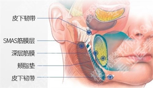 武汉中翰吴中兴做轮廓怎么样？主打项目介绍，科普知识公布