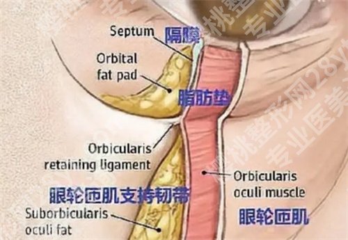 深圳阳光医院整形美容怎么样？核心项目公布，医院实力曝光