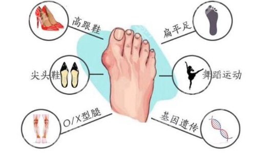 马桂文教授哪家医院的？医生擅长项目及坐诊医院揭晓