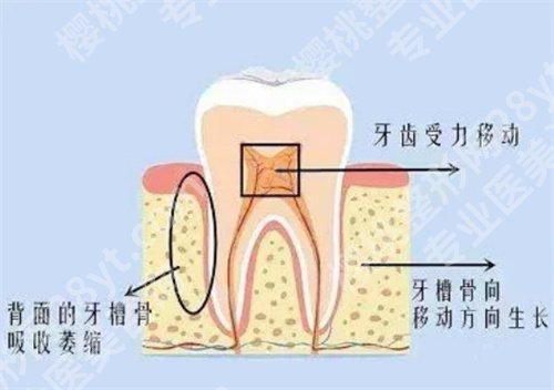 成都第二人民医院牙齿矫正费用？医院详情介绍