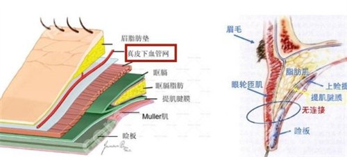 上海美诗沁宣瑞军怎么样？个人简介公布