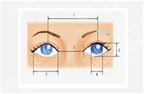 上海国际医学中心割双眼皮怎么样？医院好评不断