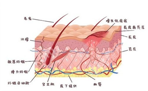 上海华山医院去疤痕怎么样？专业团队介绍