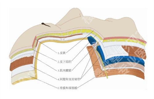 上海刚医生怎么样？医生擅长项目介绍
