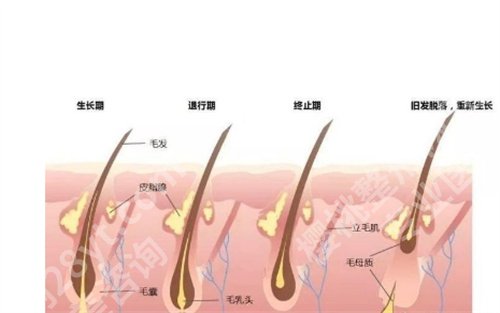 杭州三院植发怎么样？医院好评不断