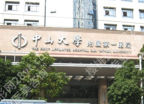 中山大学附属第一医院植发多少钱？2025价格查询