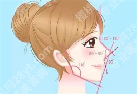 魏皎医生案例分享，一览专家医生的基本信息
