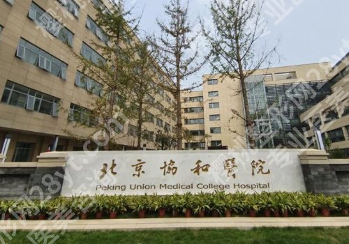 2025北京增粗增长医院医生哪家好？北京协和医院、北京大学人民医院实力上榜！