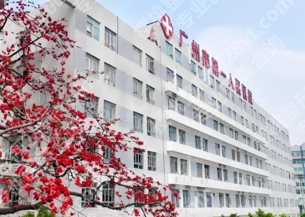 广州富贵包牛的三个医院有哪些？实力医院看这里