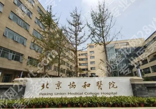 北京协和医院种植牙哪个医生好？实力医生戈怡、宿玉成、黄庆推荐